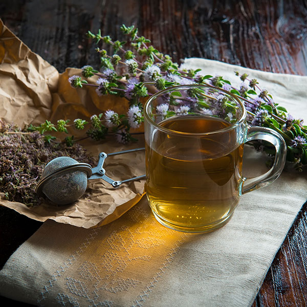 Infusion feuille d'oliver