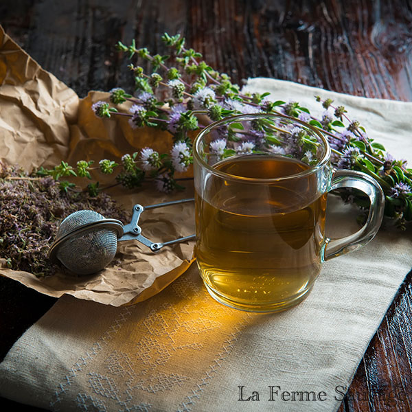 Infusion feuille de framboisier